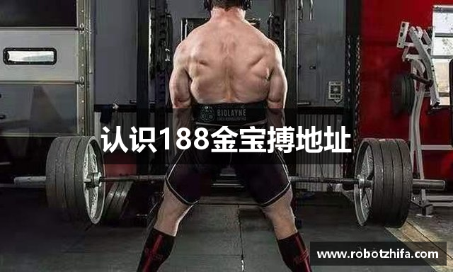 认识188金宝搏地址